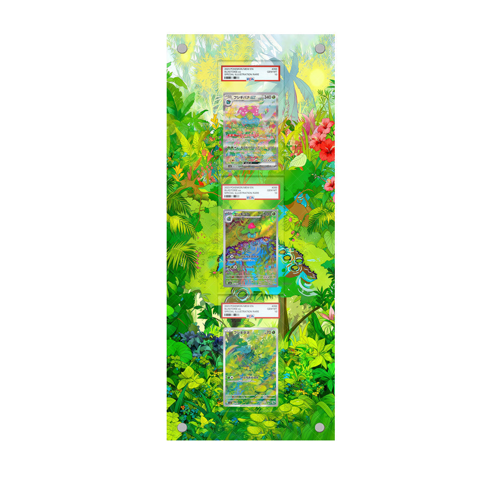 Bulbasaur Ivysaur Venusaur - Pokémon Extended Artwork Protective Card Wall Frame-2